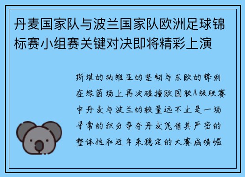 丹麦国家队与波兰国家队欧洲足球锦标赛小组赛关键对决即将精彩上演